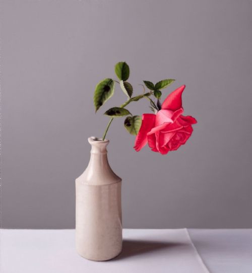 Jo Barrett - Still Life with Garden Rose and Stoneware Bottle 