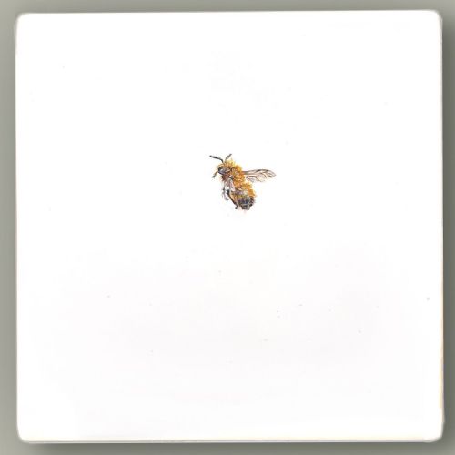 Hazel Mountford - One Bee Left: Hairy-Footed Flower Bee
