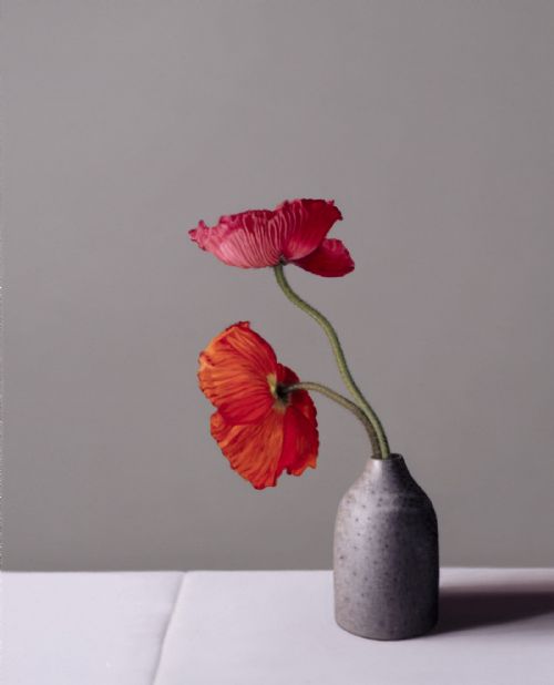 Still Life with Icelandic Poppies and Tin Glazed Bottle by Jo Barrett
