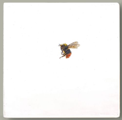 Hazel Mountford - One Bee Left: Red-Tailed Bumblebee